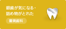 銀歯が気になる・詰め物がとれた 審美歯科