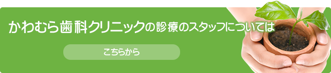 かわむら歯科クリニックの診療のスタッフについてはこちらから